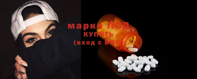 ПСИЛОЦИБИНОВЫЕ ГРИБЫ Абаза