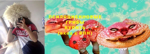 прущая мука Армянск