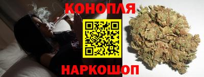 стафф Дубна