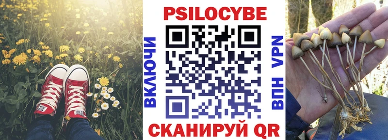 где купить наркотик  Тобольск  Галлюциногенные грибы прущие грибы 