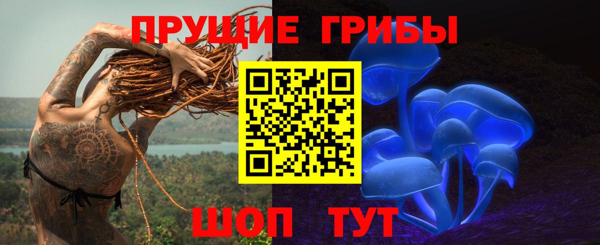 Псилоцибиновые грибы MAGIC MUSHROOMS  Вход с VPN  Тобольск 